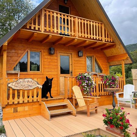 Agri Camp Dolomiti Apartment เบลลูโน ภายนอก รูปภาพ