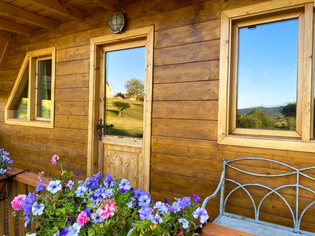 Agri Camp Dolomiti Apartment เบลลูโน ภายนอก รูปภาพ
