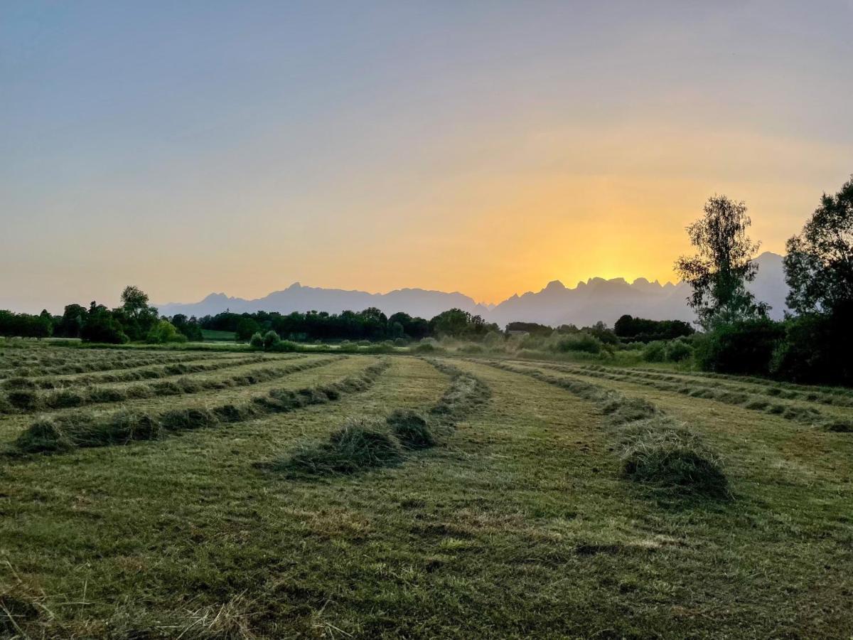 Agri Camp Dolomiti Apartment เบลลูโน ภายนอก รูปภาพ