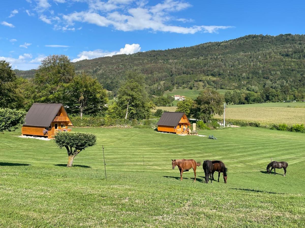 Agri Camp Dolomiti Apartment เบลลูโน ภายนอก รูปภาพ