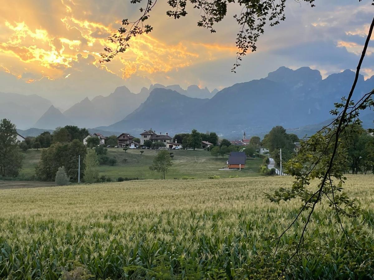 Agri Camp Dolomiti Apartment เบลลูโน ภายนอก รูปภาพ