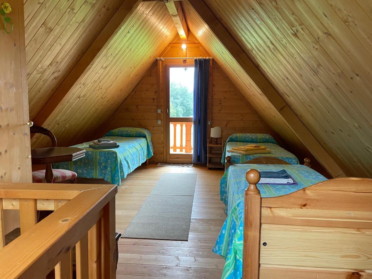Agri Camp Dolomiti Apartment เบลลูโน ภายนอก รูปภาพ