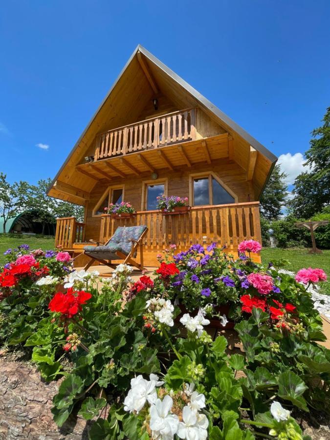 Agri Camp Dolomiti Apartment เบลลูโน ภายนอก รูปภาพ