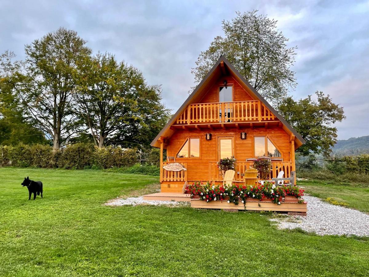 Agri Camp Dolomiti Apartment เบลลูโน ภายนอก รูปภาพ