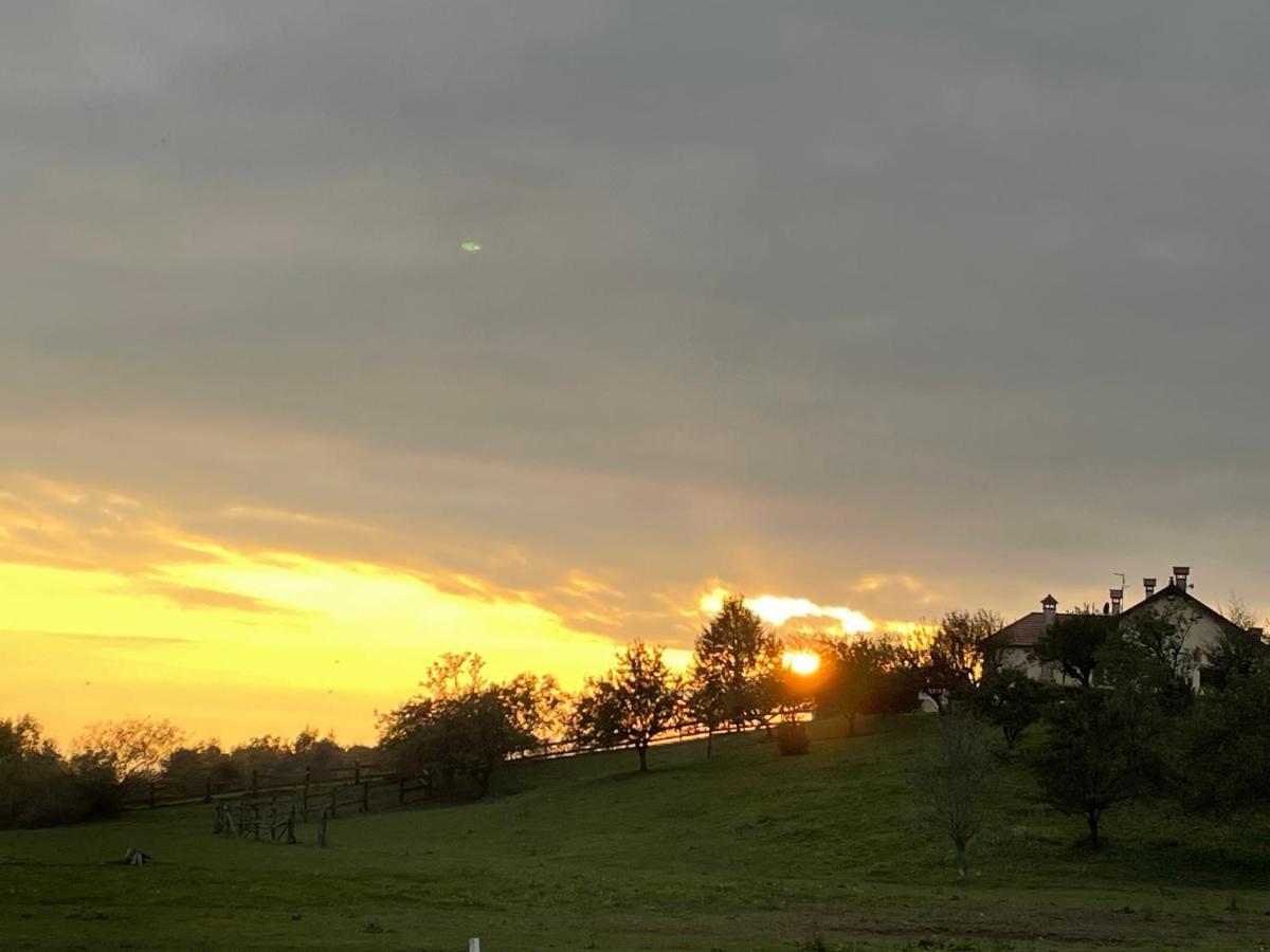 Agri Camp Dolomiti Apartment เบลลูโน ภายนอก รูปภาพ