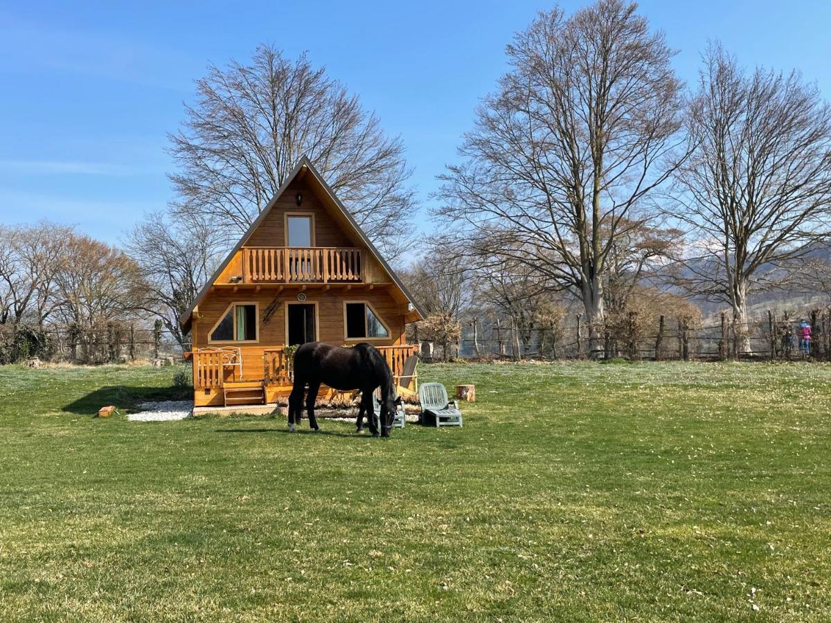 Agri Camp Dolomiti Apartment เบลลูโน ภายนอก รูปภาพ
