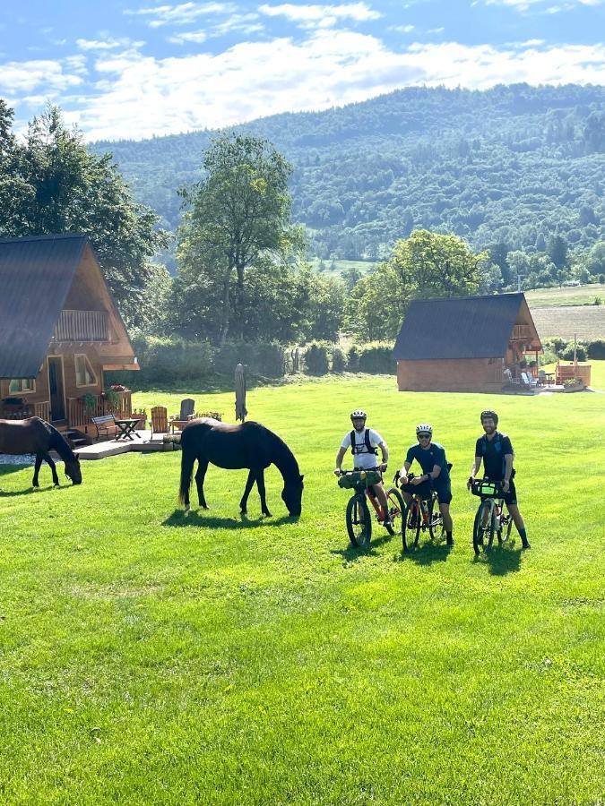 Agri Camp Dolomiti Apartment เบลลูโน ภายนอก รูปภาพ