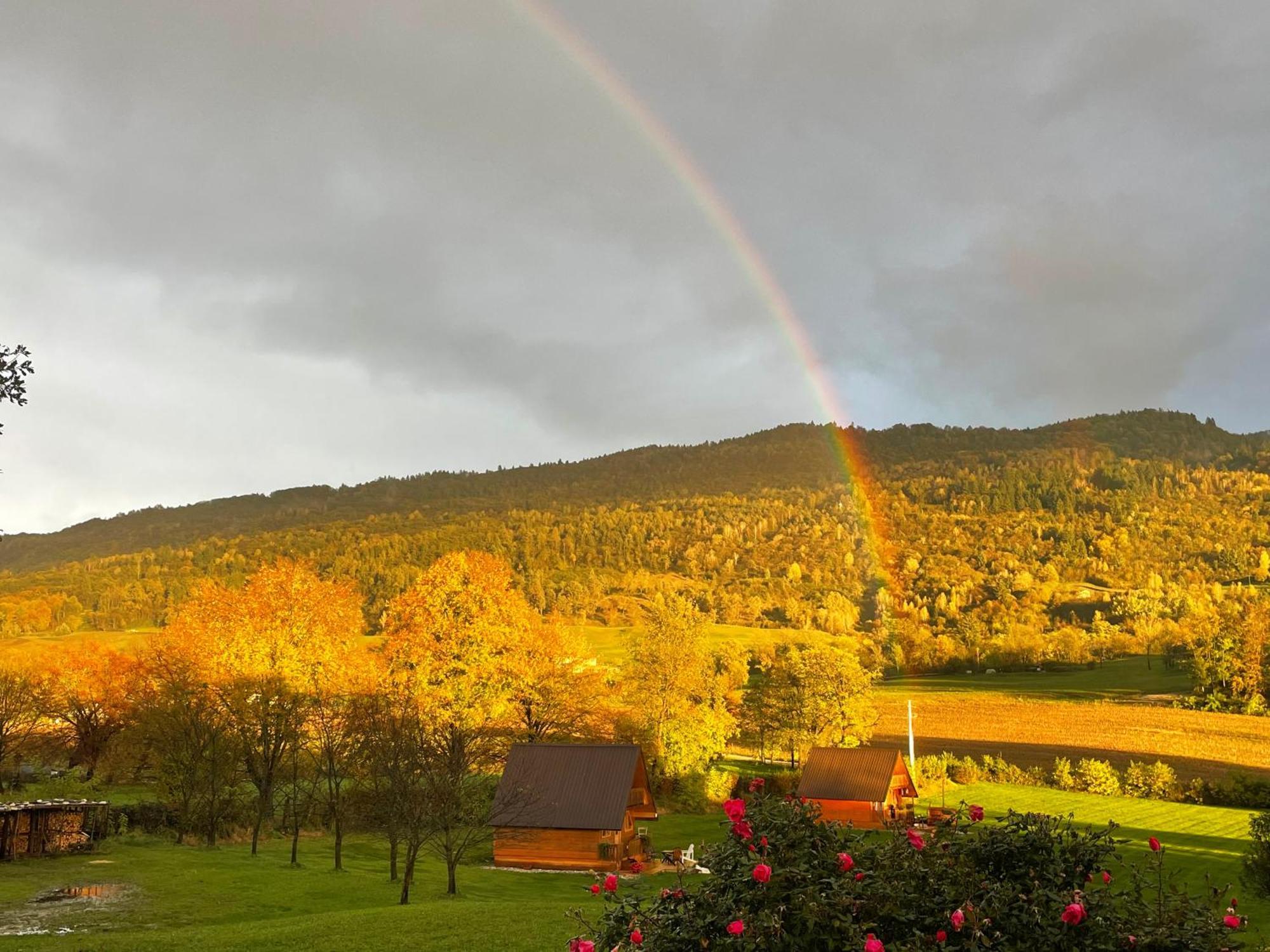Agri Camp Dolomiti Apartment เบลลูโน ภายนอก รูปภาพ